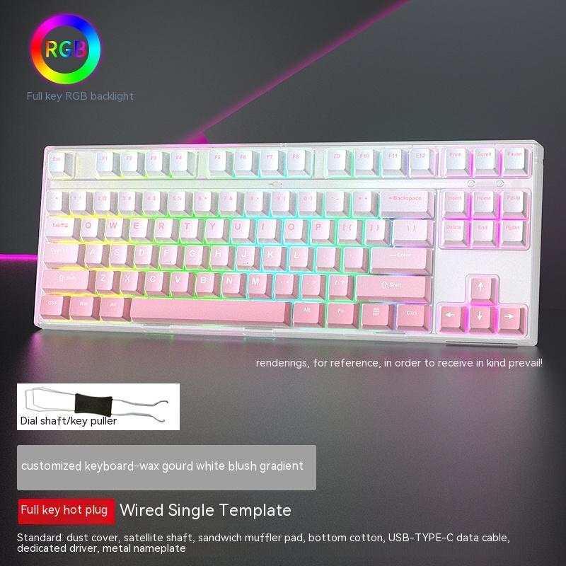 Wired Single-mode mechanische Gaming-Tastatur mit RGB-Beleuchtung und USB Type-C Anschluss